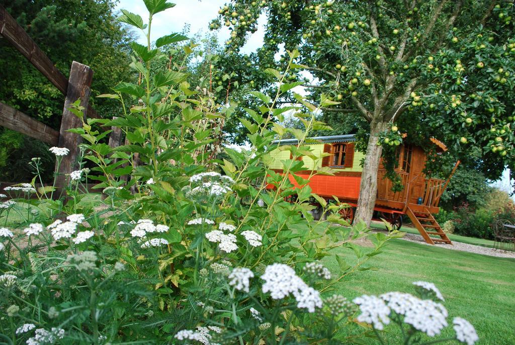 Capucine Villa Honfleur Bilik gambar